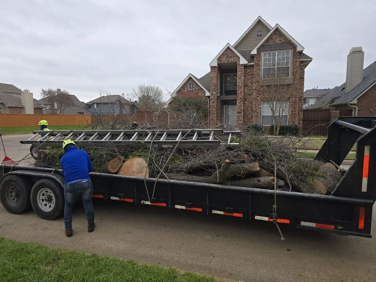 Expert Crown Reduction with proper safety equipment in Wausa